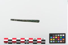 Foto von Bronzepinzette (NHMW-PRAE-024107)